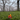 Photographer Duck - Fotograaf Badeend