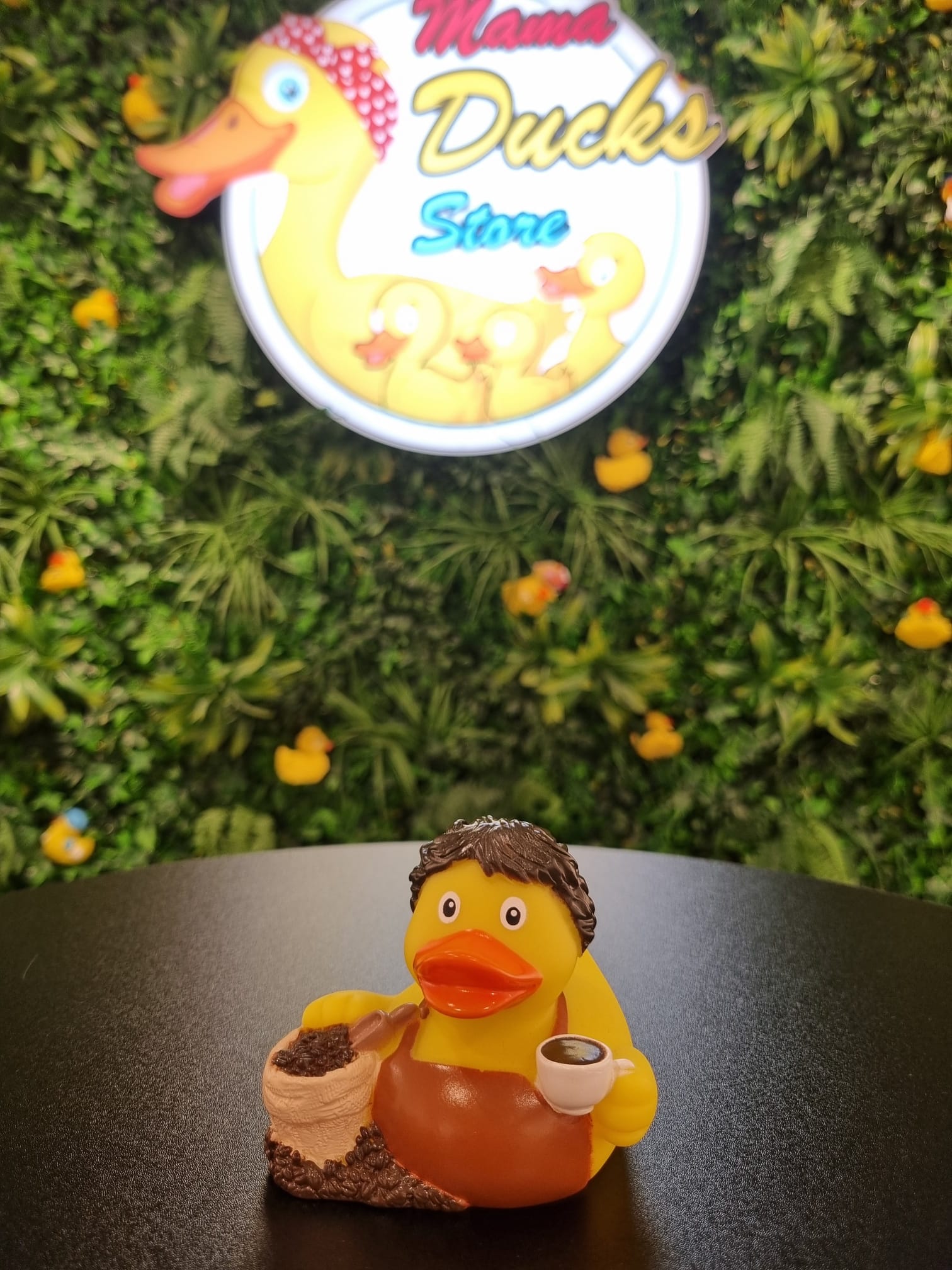 Duck Barista