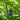 Keychain Starrynight Van Gogh - Sleutelhanger Sterrennacht Van Gogh