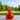 Orange I love Amsterdam Duck - Oranje I love Amsterdam Badeend