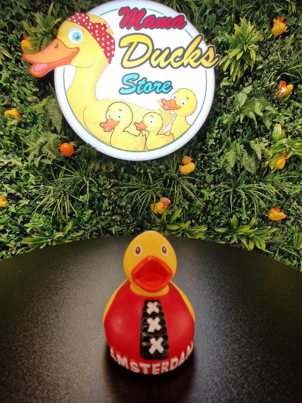 Amsterdam Duck - Amsterdam Eend