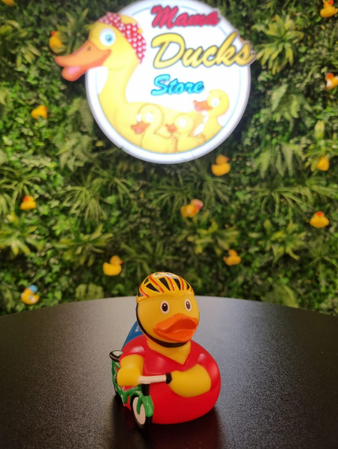 Duck Cycling - Eend Wielrennen