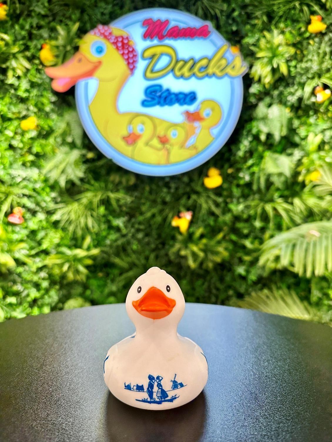 Holland Duck