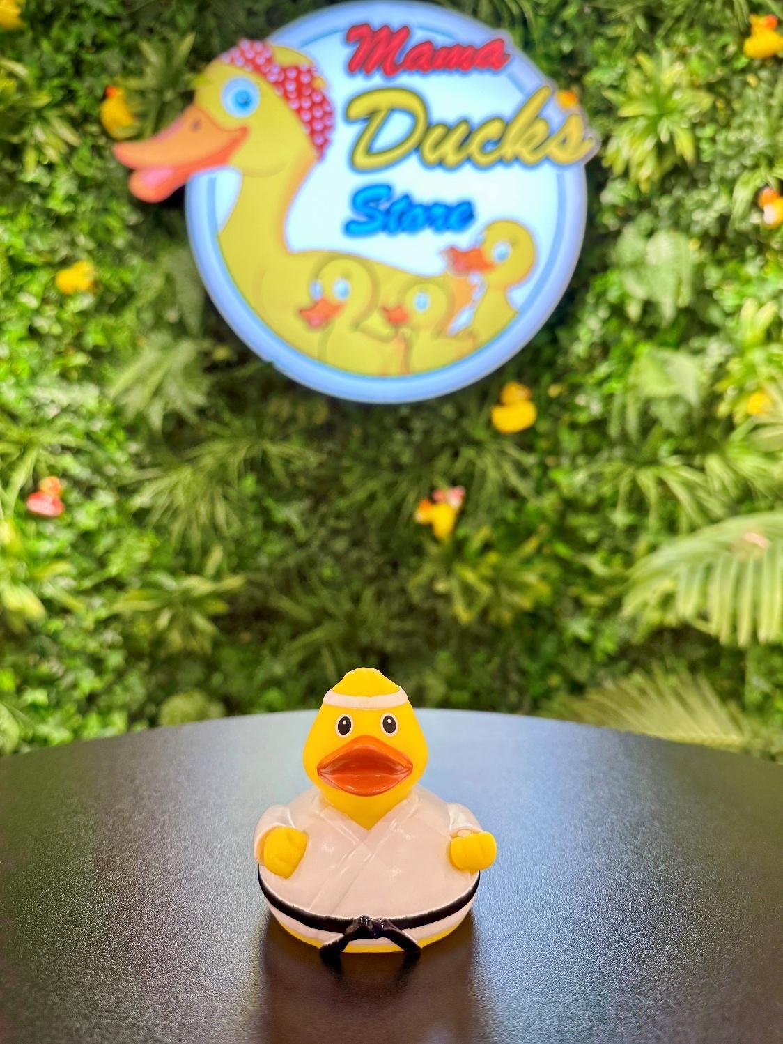 Karate Duck