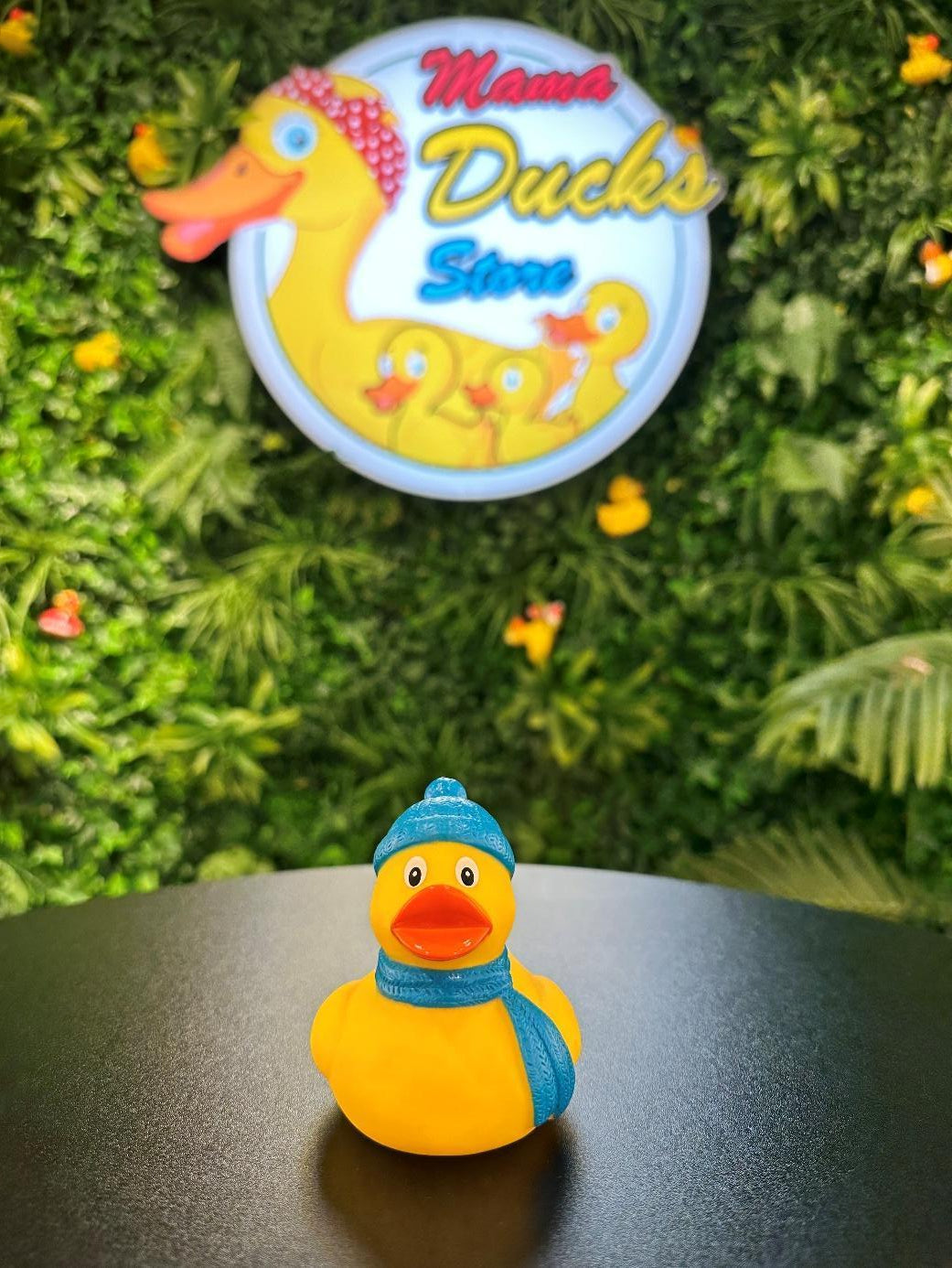 Winter Duck