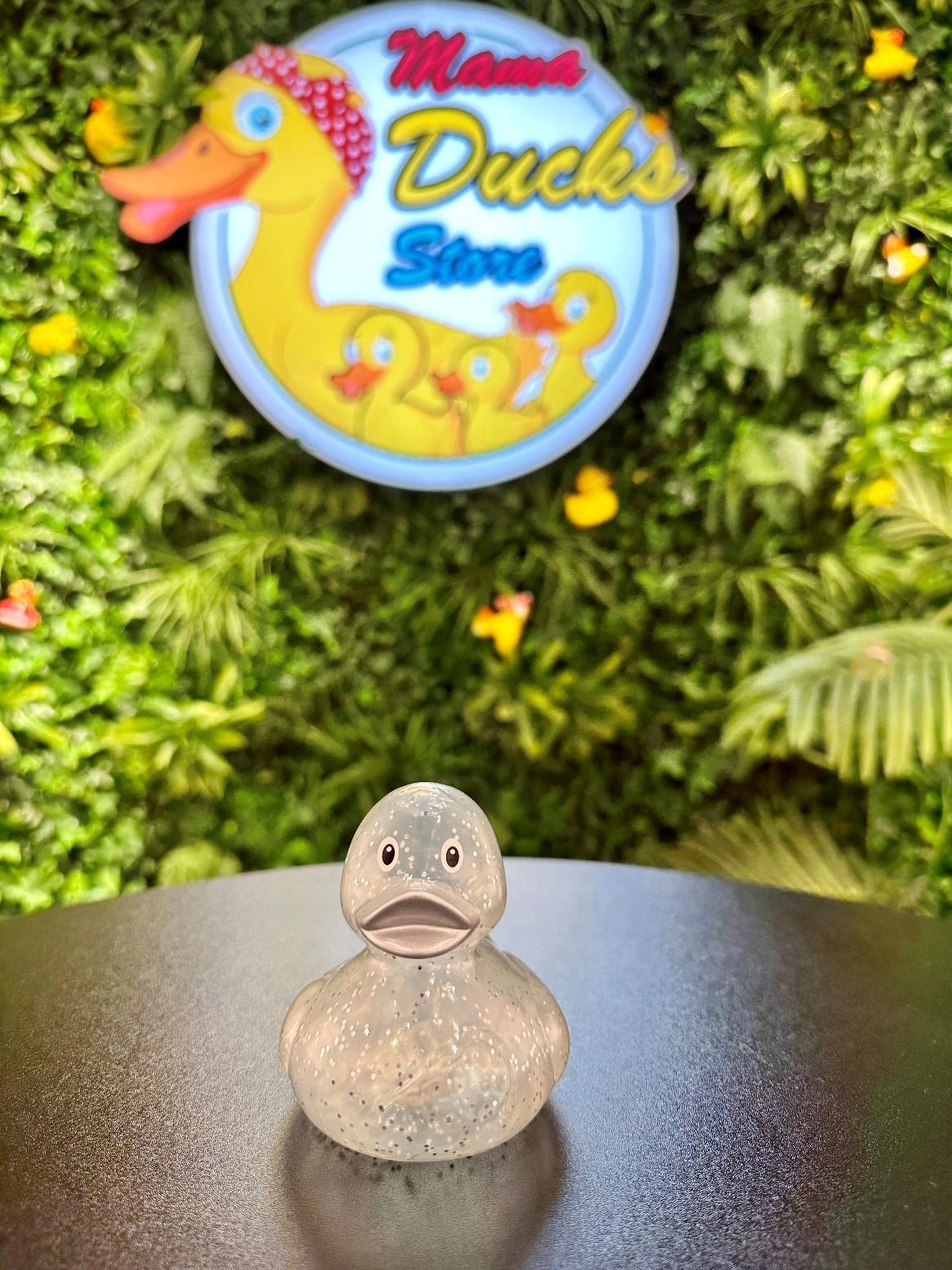 Silver Shine Duck
