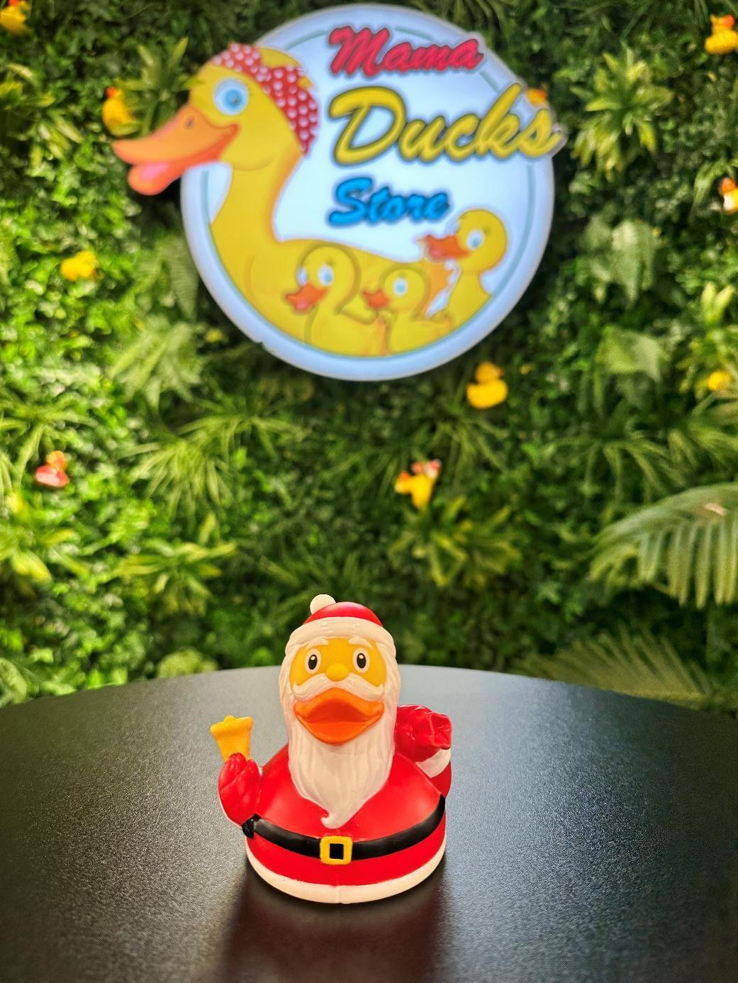 Santa Duck