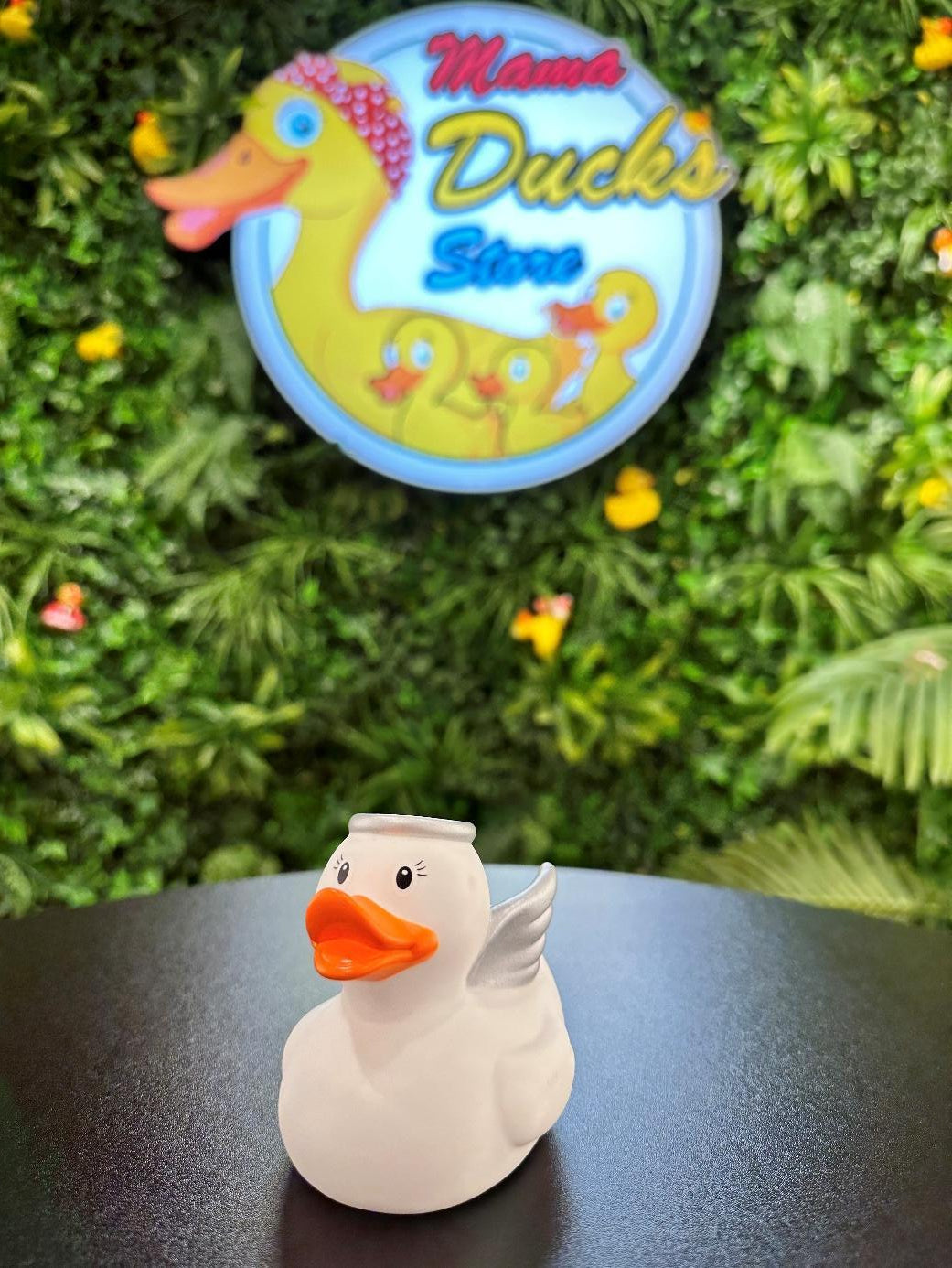 Angel Duck