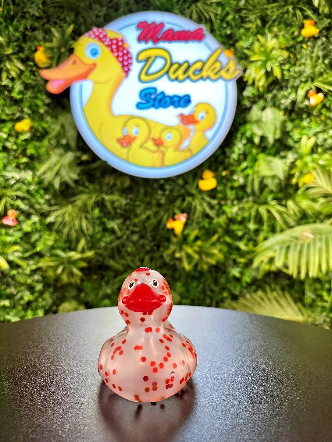 Red Shine Duck