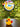 Present Duck