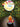 Dutch Duck - Holland Duck