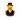 Groom Duck - Bruidegom Badeend