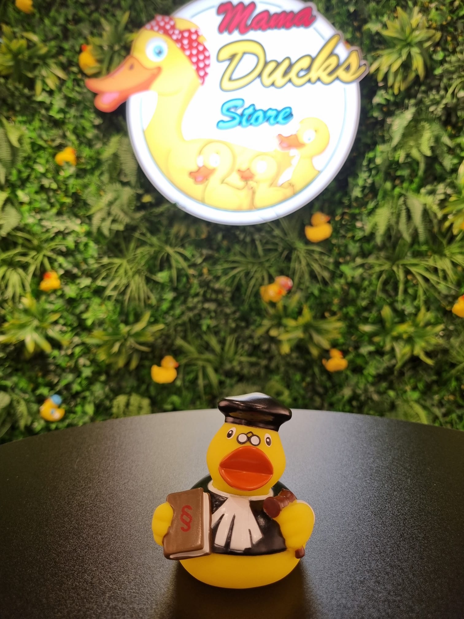 Judge Duck – Rechter Eend