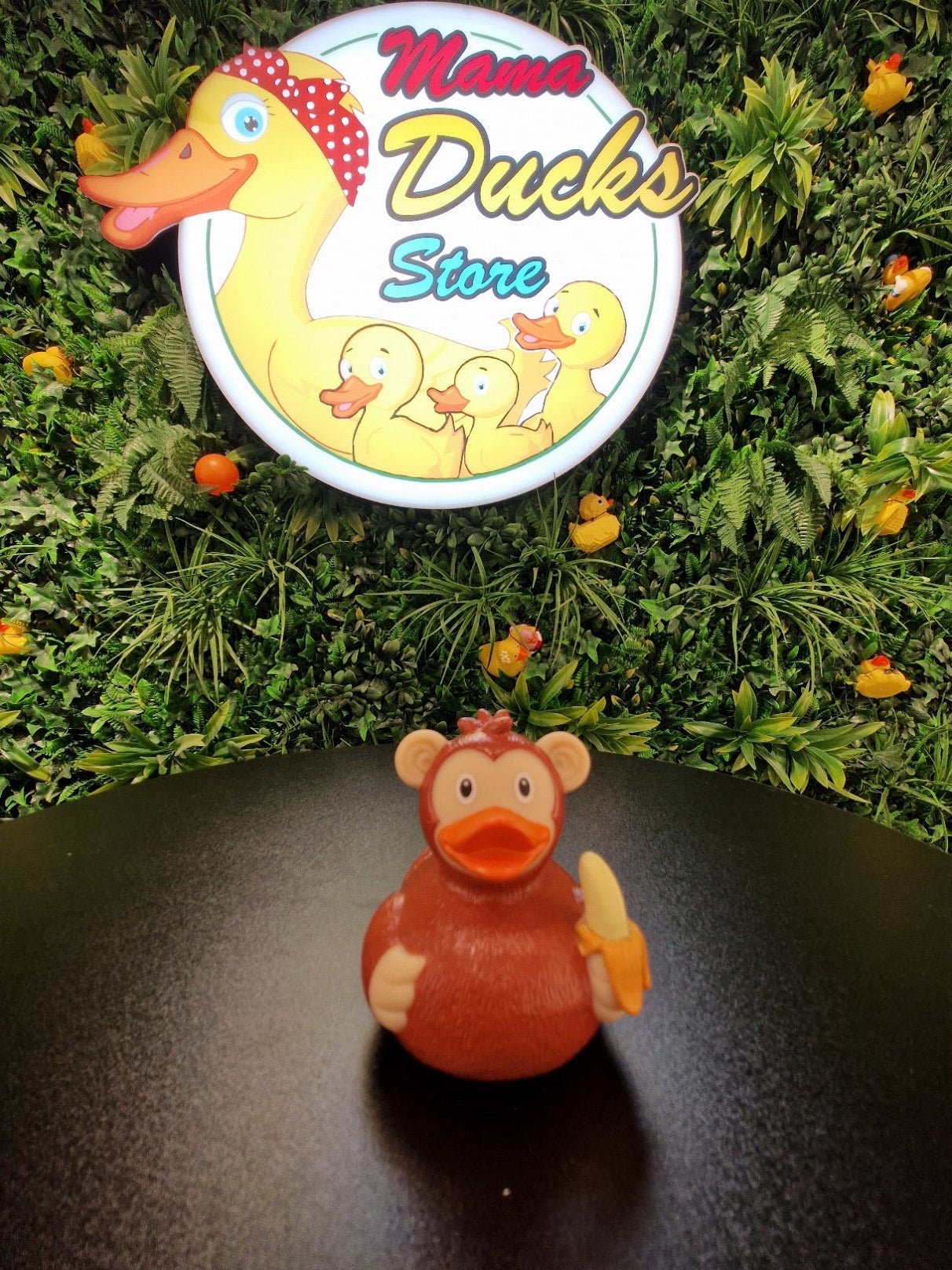 Monkey Duck - Aap Eend