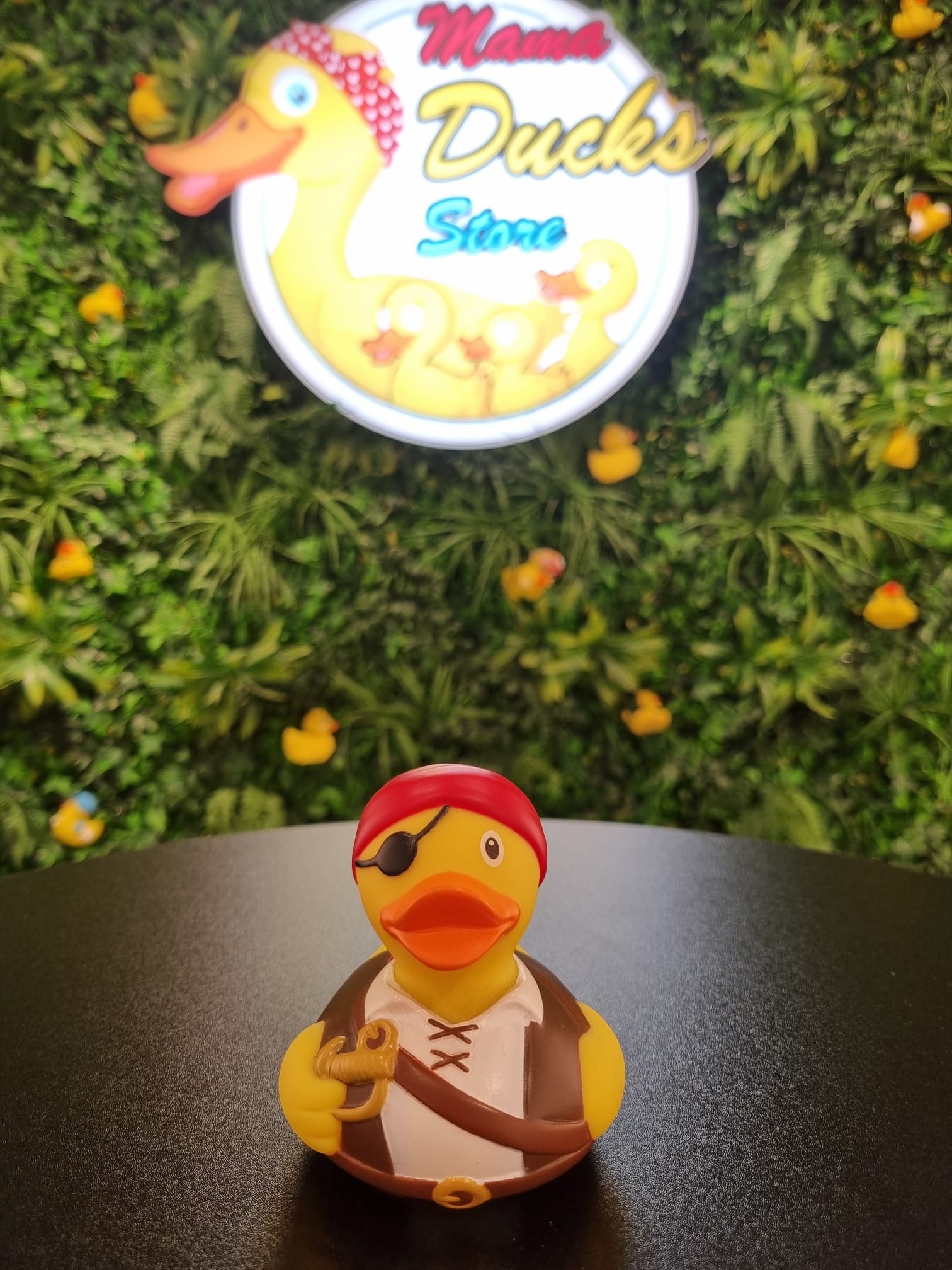 Pirate Duck - Piraat Eend