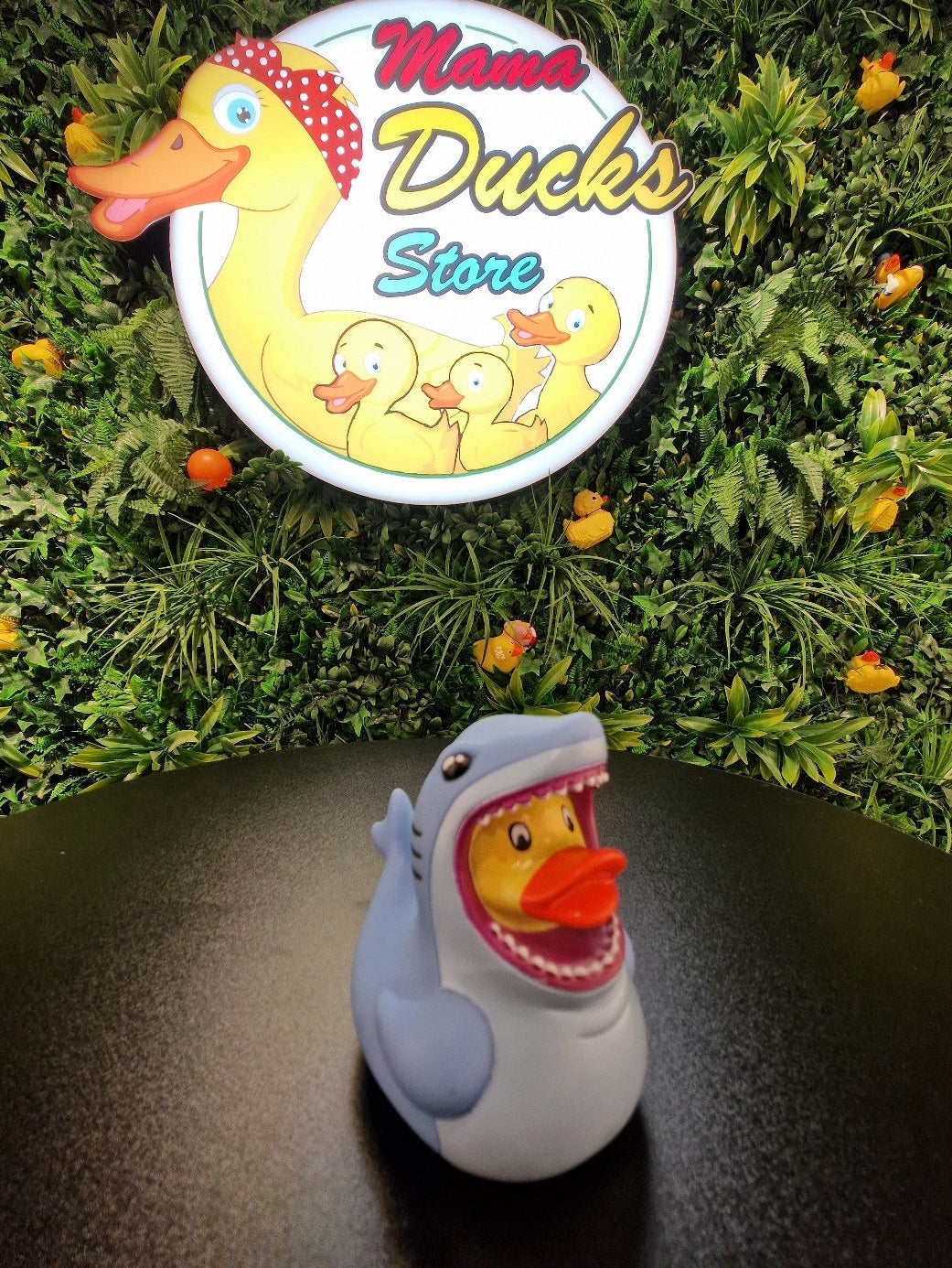 Sharky Duck