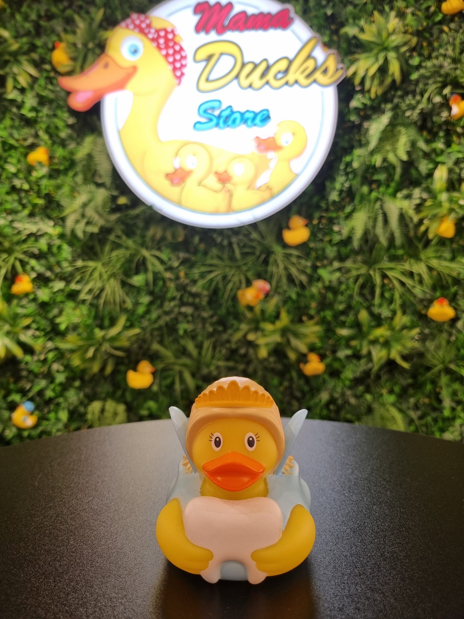 Tooth fairy Duck – Tandenfee Eend