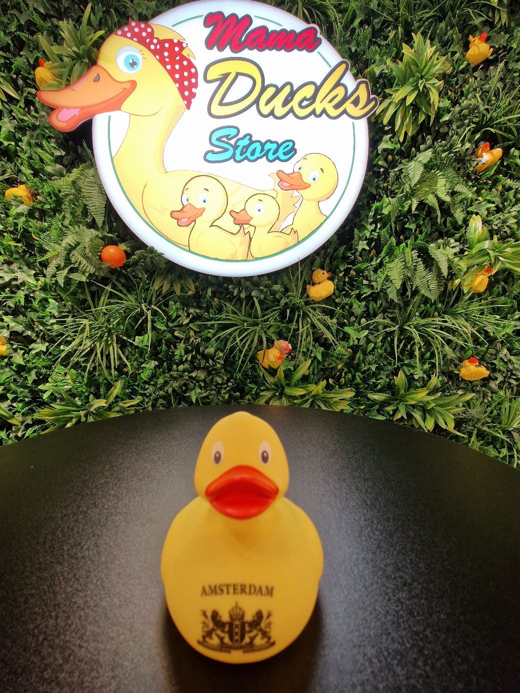 Yellow Amsterdam Duck- Gele Amsterdam Eend